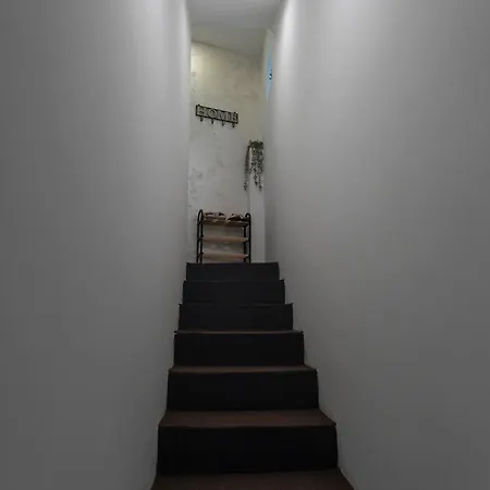 Botanica Free Parking Apartman *