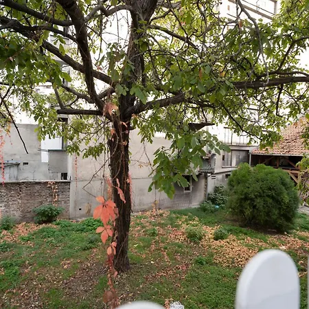 Botanica Free Parking Apartman Belgrade