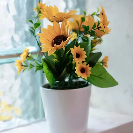 Botanica Free Parking Βελιγράδι