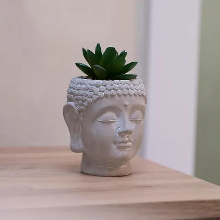 Botanica Free Parking Belgrade